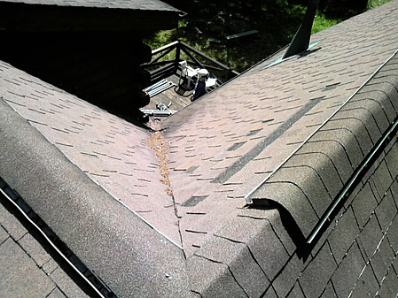 屋根も傷んできました。
